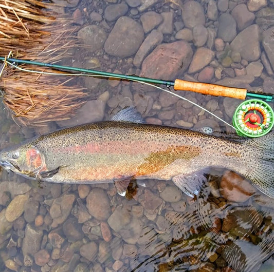 Brackish Sea Bass And Trout Flying Fishing Set
